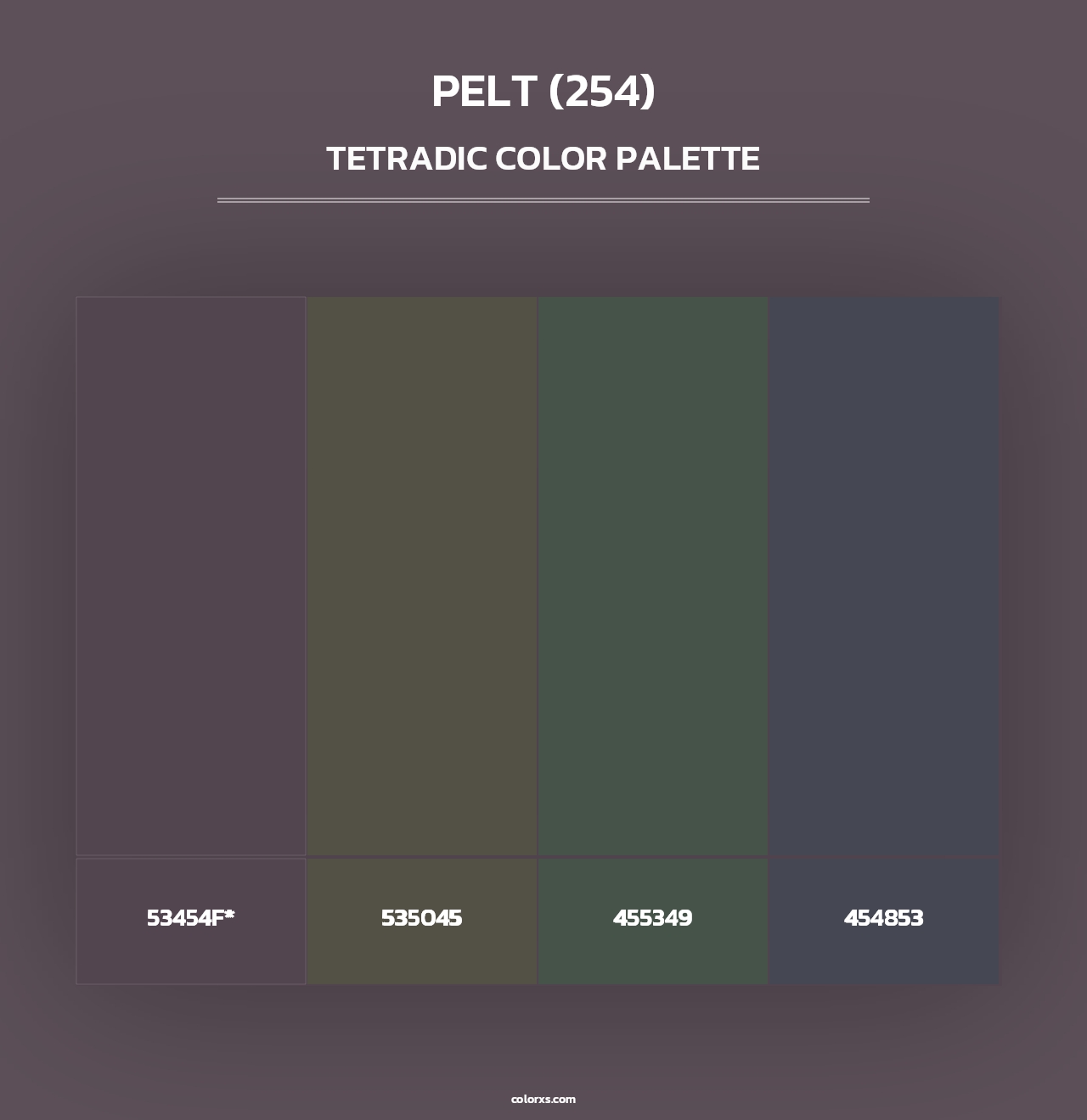 Pelt (254) - Tetradic Color Palette
