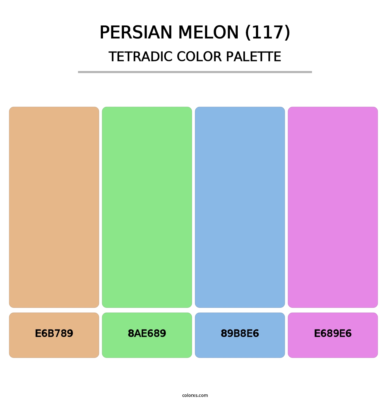 Persian Melon (117) - Tetradic Color Palette