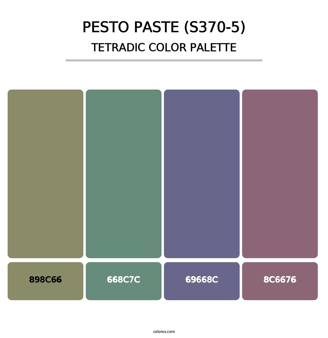 Pesto Paste (S370-5) - Tetradic Color Palette