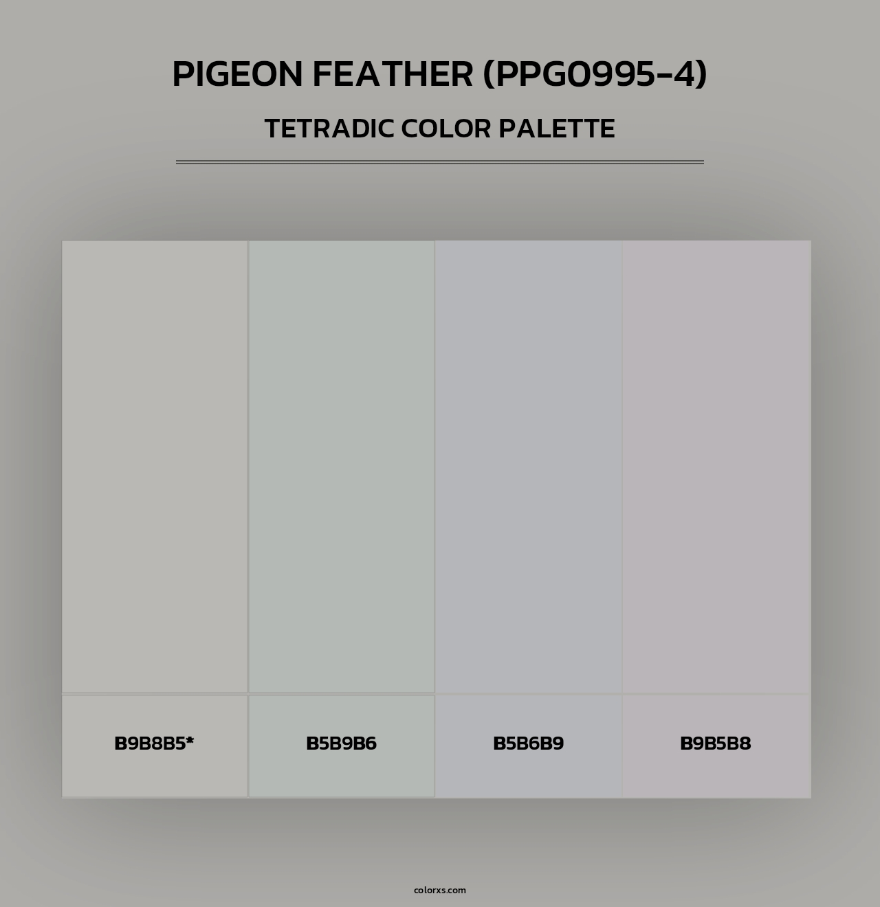 Pigeon Feather (PPG0995-4) - Tetradic Color Palette