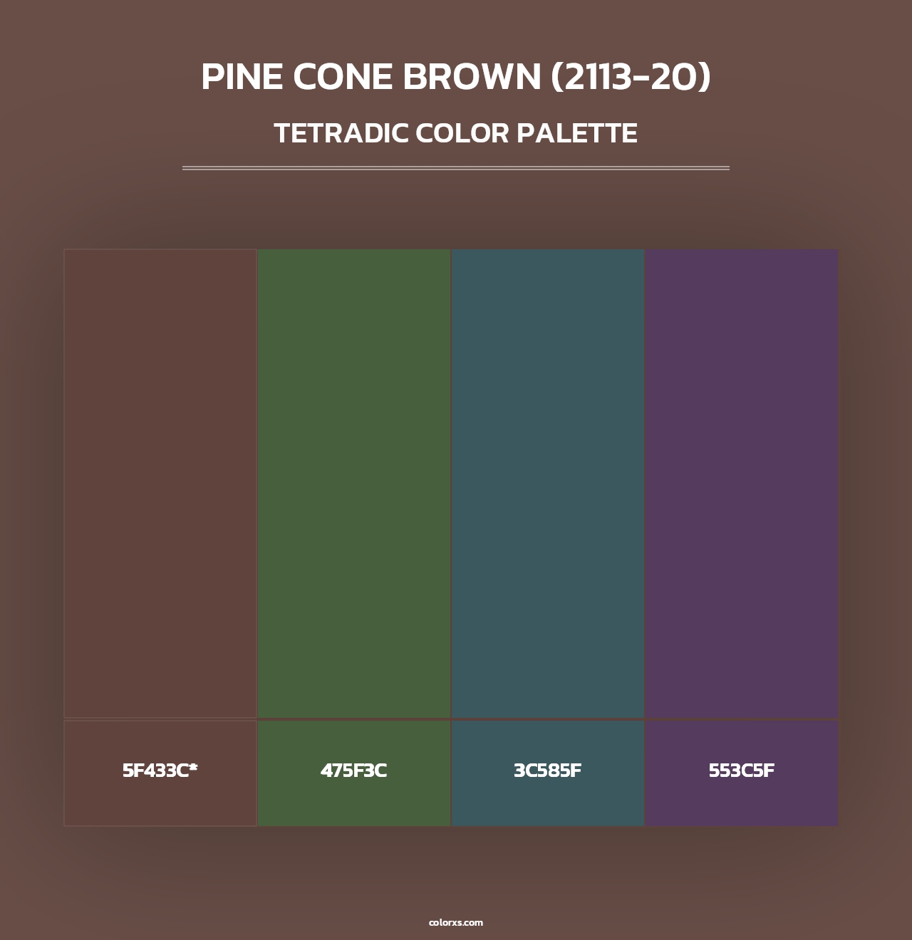 Pine Cone Brown (2113-20) - Tetradic Color Palette