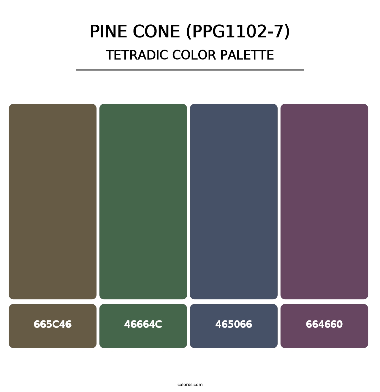 Pine Cone (PPG1102-7) - Tetradic Color Palette