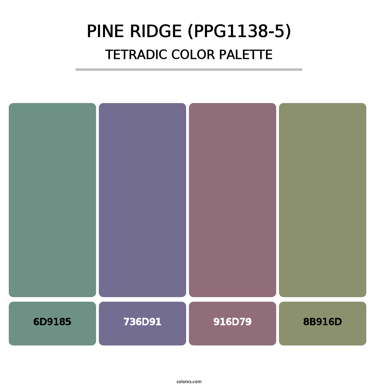 Pine Ridge (PPG1138-5) - Tetradic Color Palette