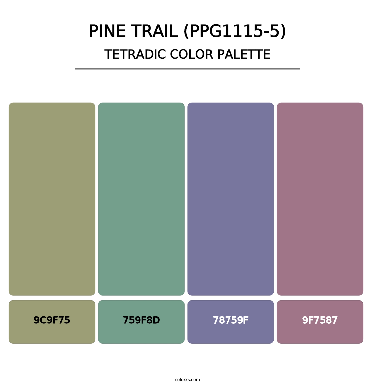 Pine Trail (PPG1115-5) - Tetradic Color Palette