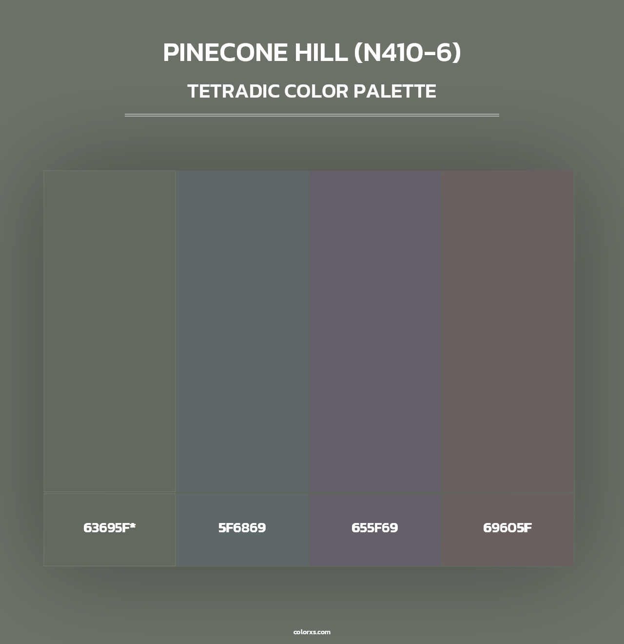 Pinecone Hill (N410-6) - Tetradic Color Palette