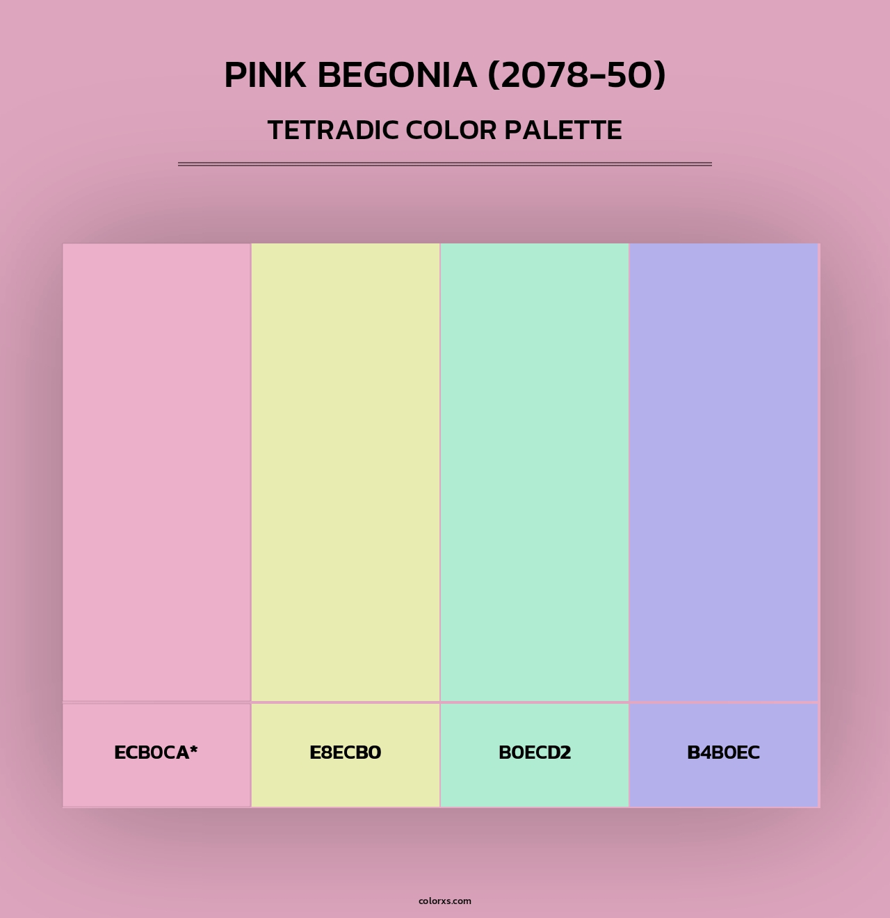 Pink Begonia (2078-50) - Tetradic Color Palette