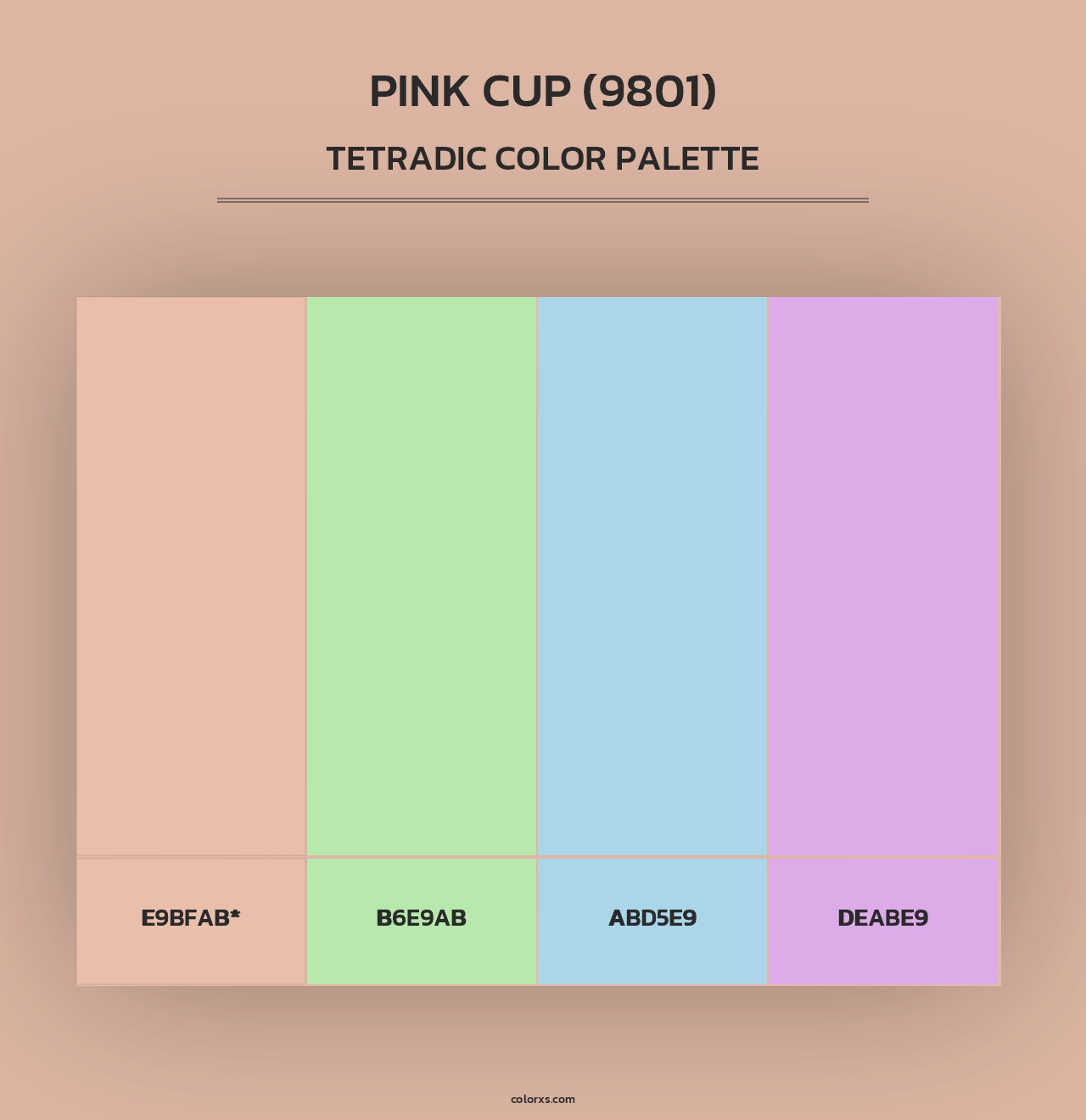 Pink Cup (9801) - Tetradic Color Palette