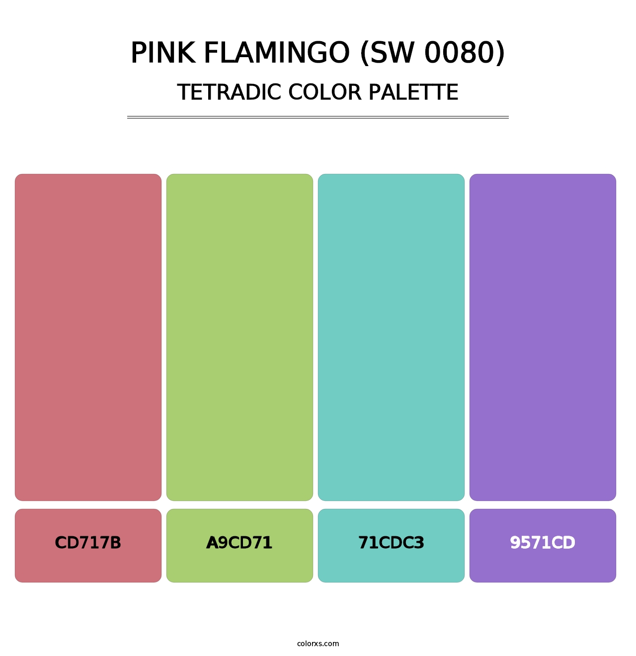 Pink Flamingo (SW 0080) - Tetradic Color Palette