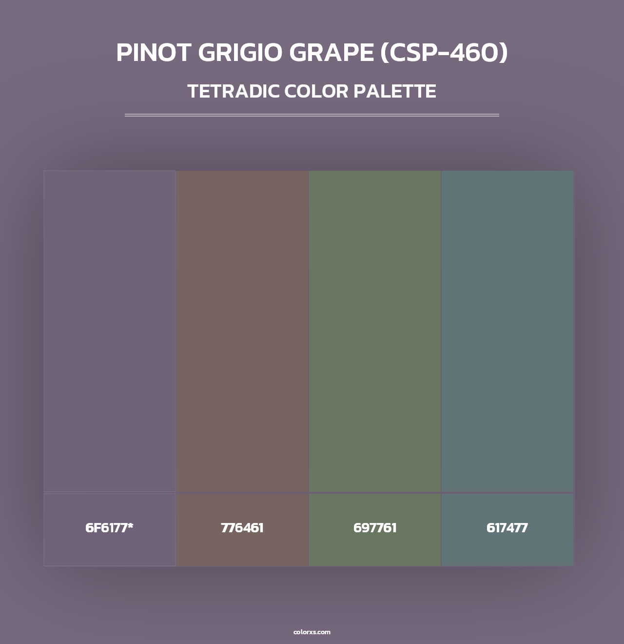 Pinot Grigio Grape (CSP-460) - Tetradic Color Palette