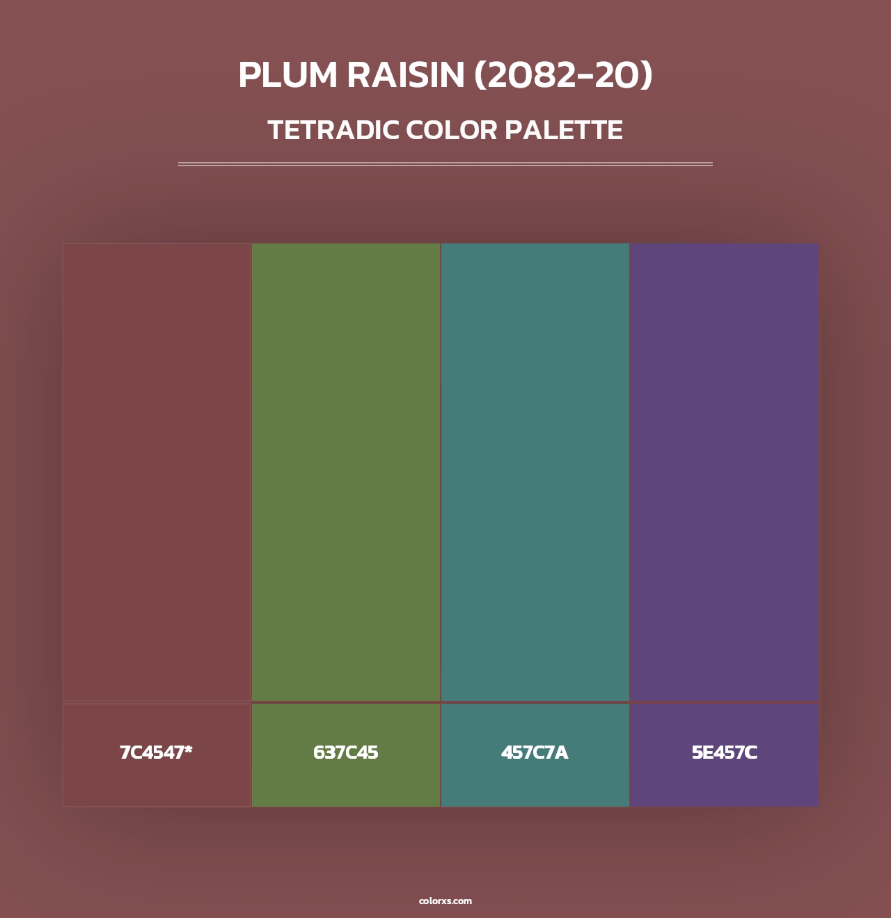 Plum Raisin (2082-20) - Tetradic Color Palette