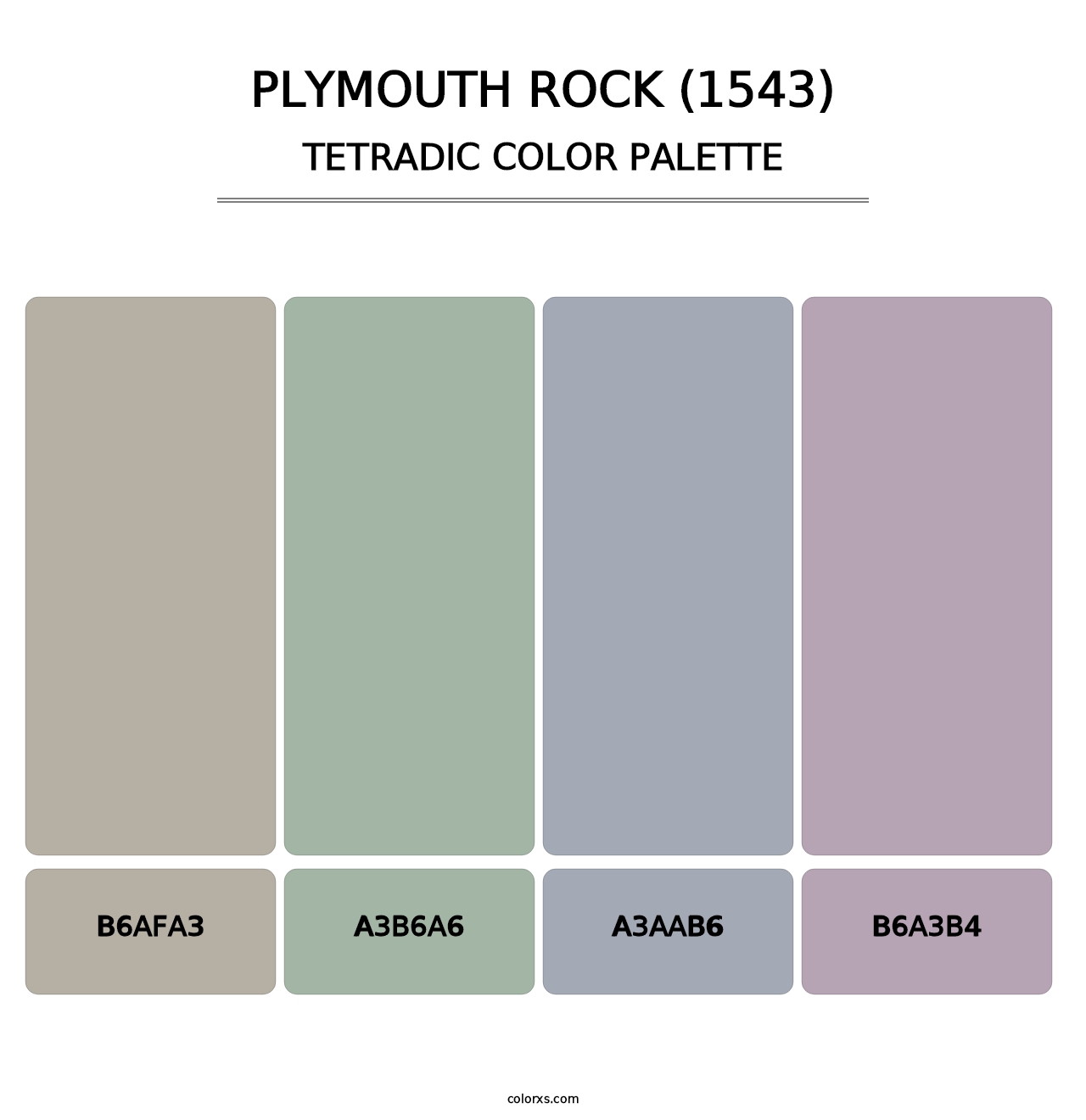 Plymouth Rock (1543) - Tetradic Color Palette