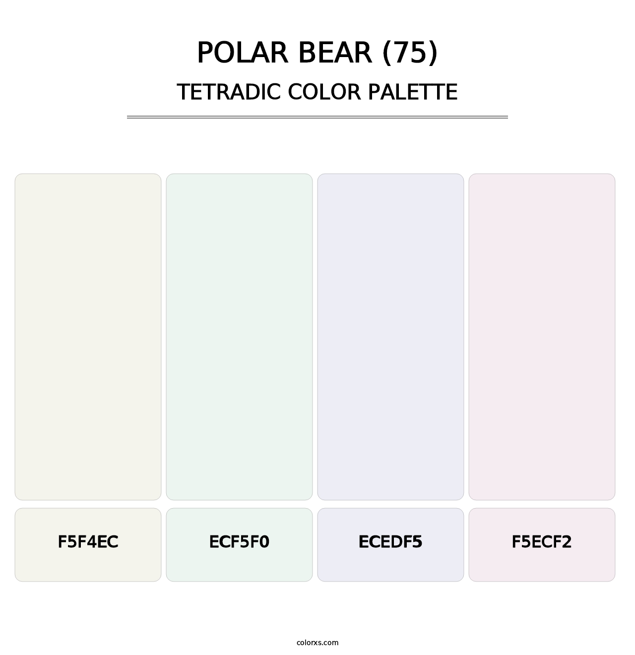 Polar Bear (75) - Tetradic Color Palette