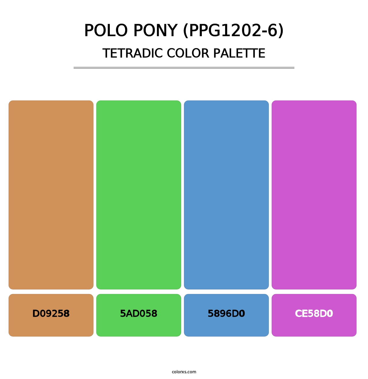 Polo Pony (PPG1202-6) - Tetradic Color Palette
