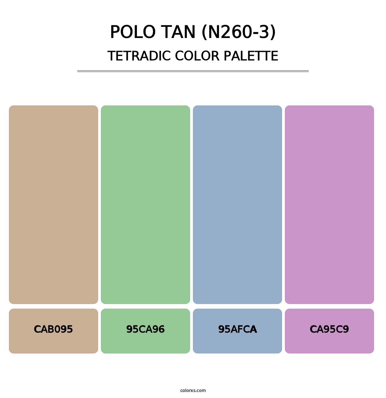 Polo Tan (N260-3) - Tetradic Color Palette