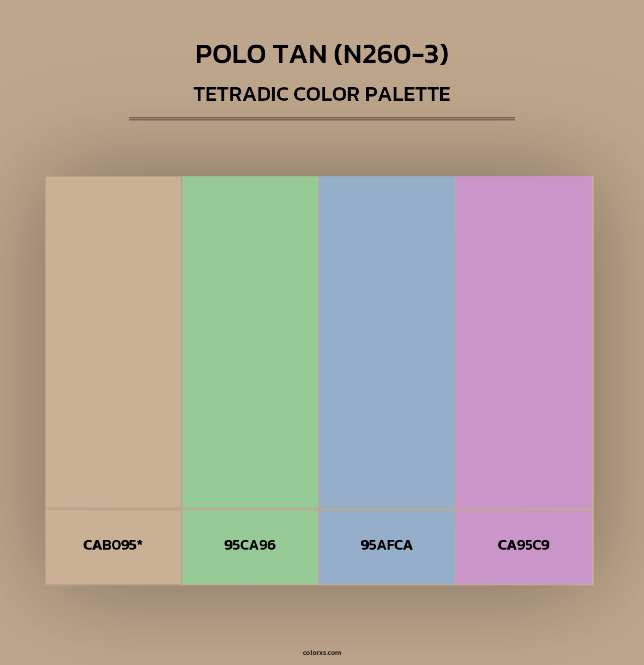 Polo Tan (N260-3) - Tetradic Color Palette