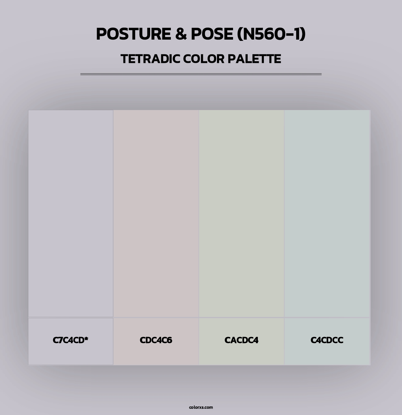Posture & Pose (N560-1) - Tetradic Color Palette