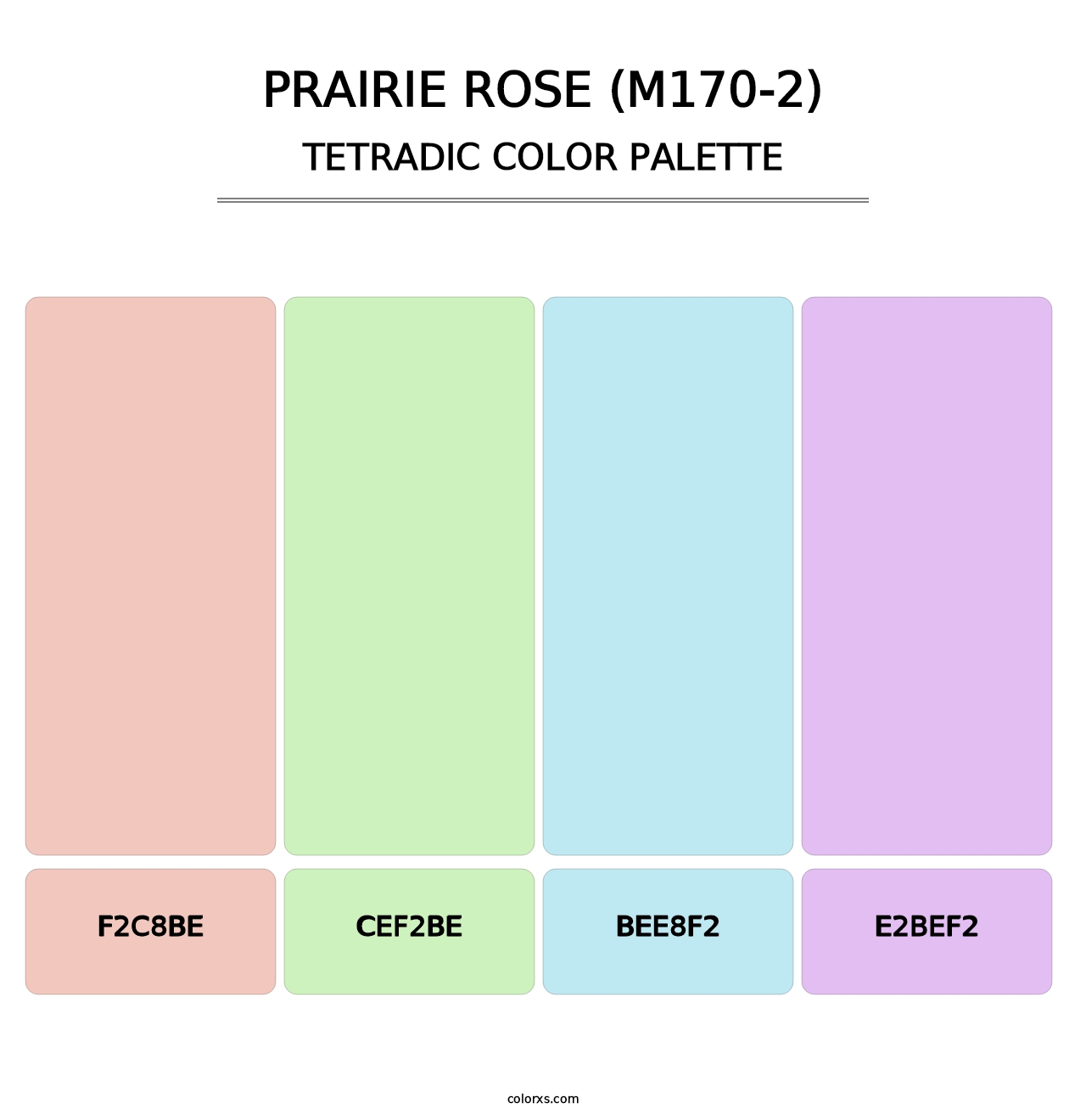 Prairie Rose (M170-2) - Tetradic Color Palette