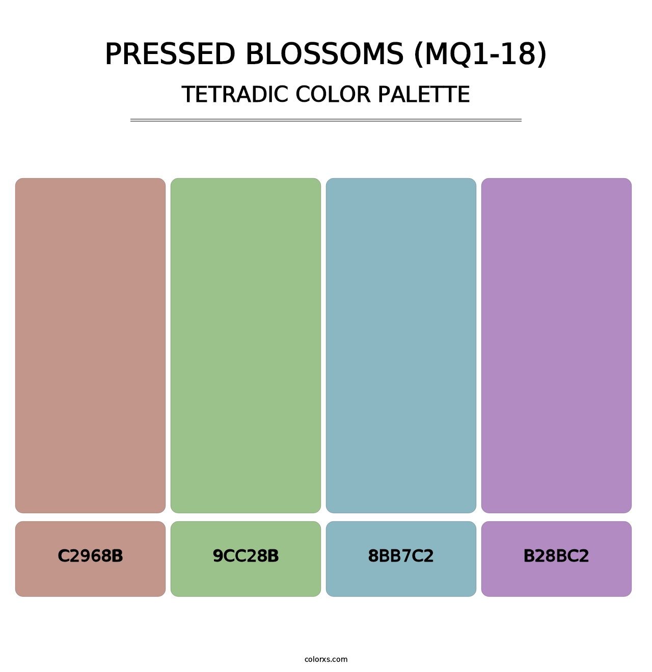 Pressed Blossoms (MQ1-18) - Tetradic Color Palette