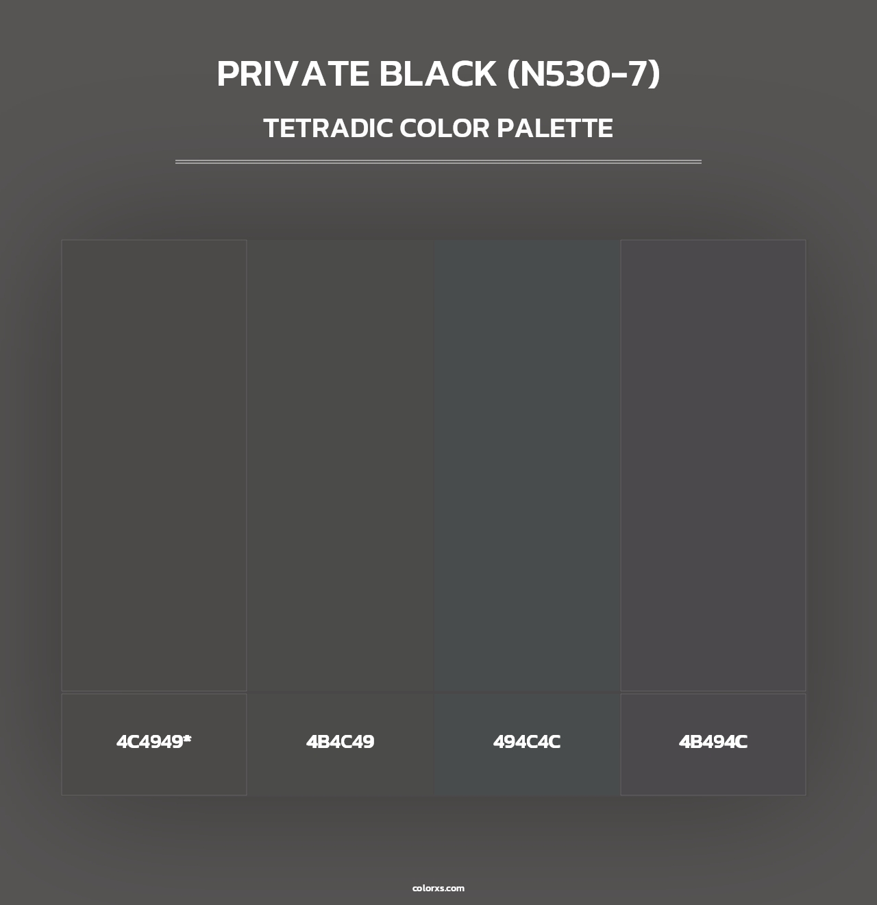 Private Black (N530-7) - Tetradic Color Palette