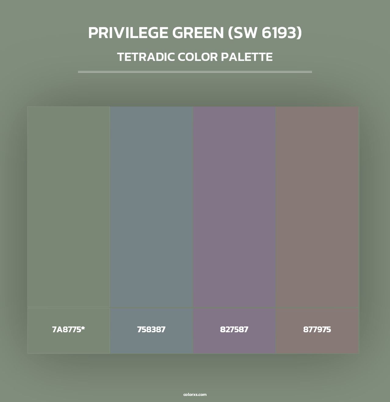 Privilege Green (SW 6193) - Tetradic Color Palette