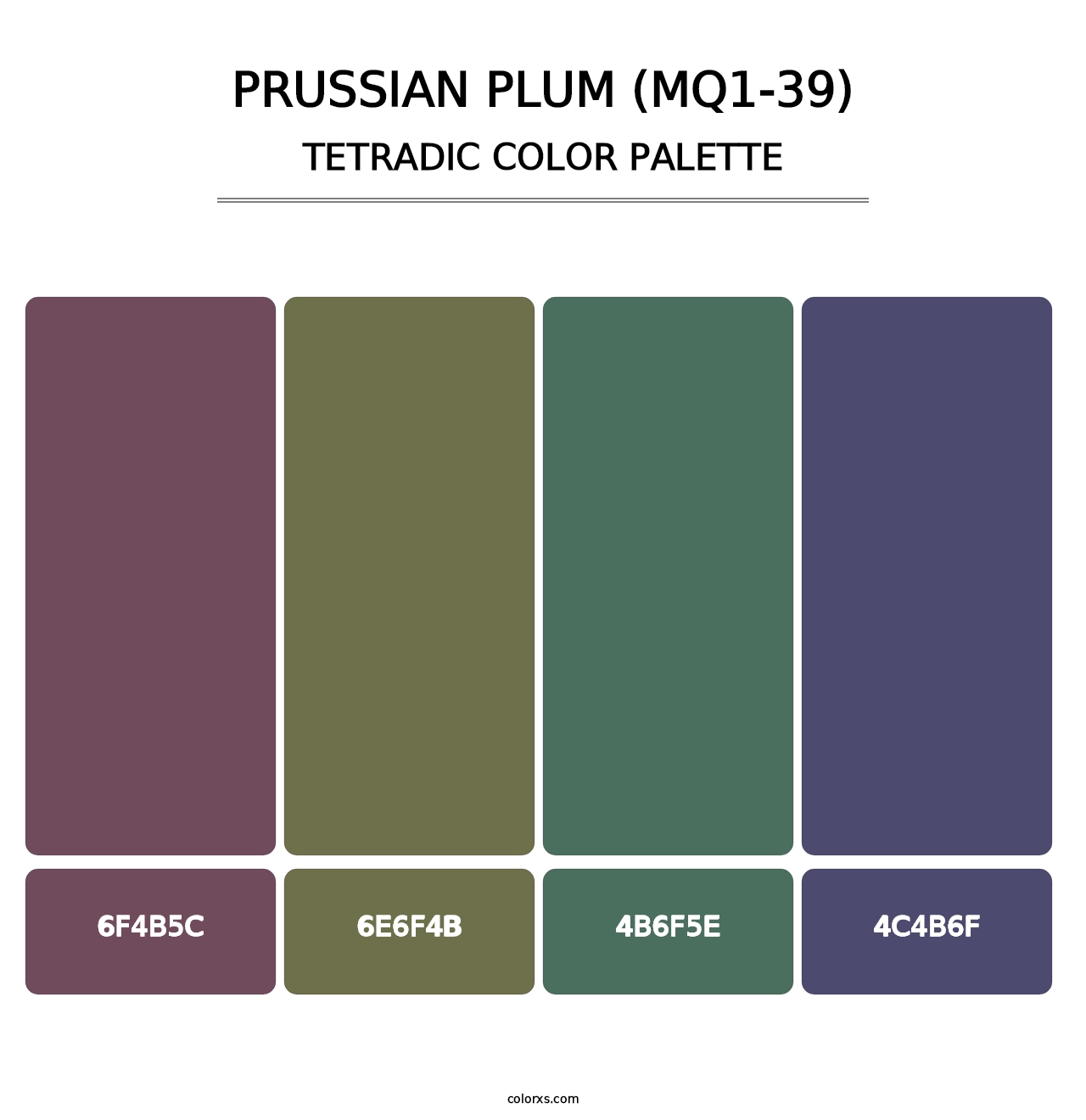 Prussian Plum (MQ1-39) - Tetradic Color Palette