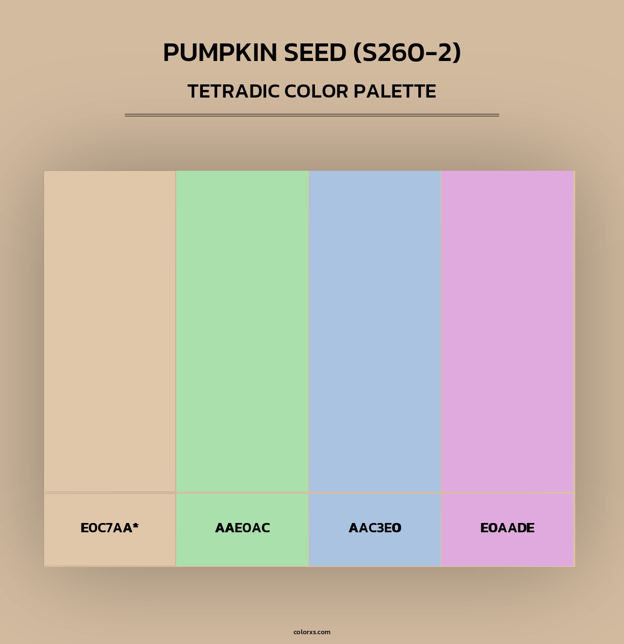 Pumpkin Seed (S260-2) - Tetradic Color Palette