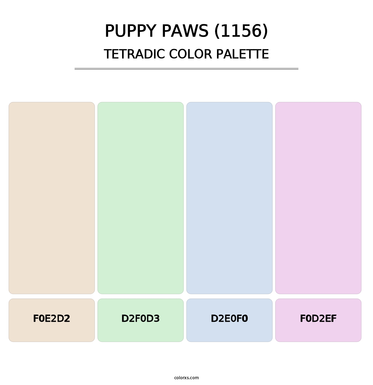 Puppy Paws (1156) - Tetradic Color Palette