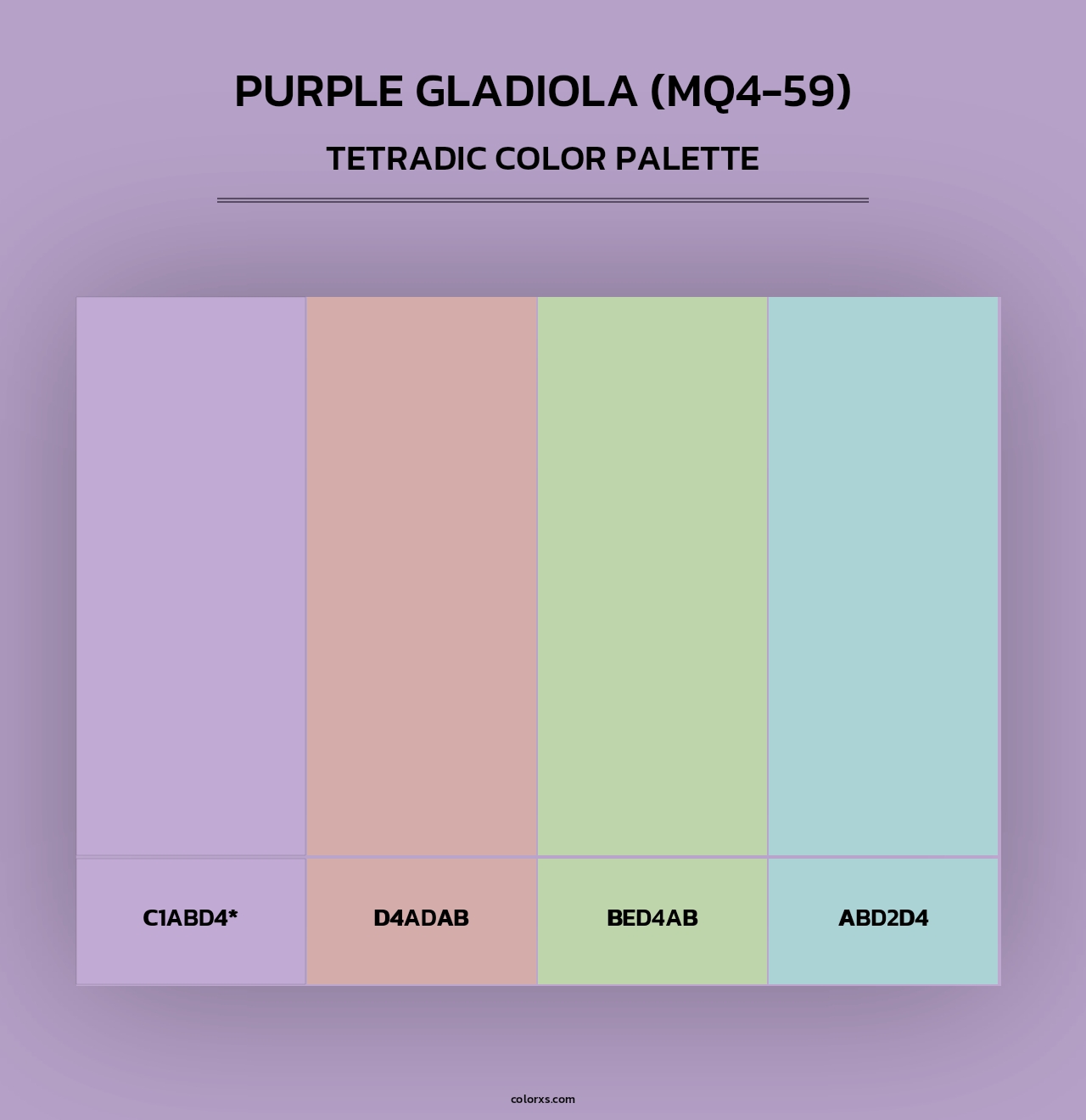 Purple Gladiola (MQ4-59) - Tetradic Color Palette