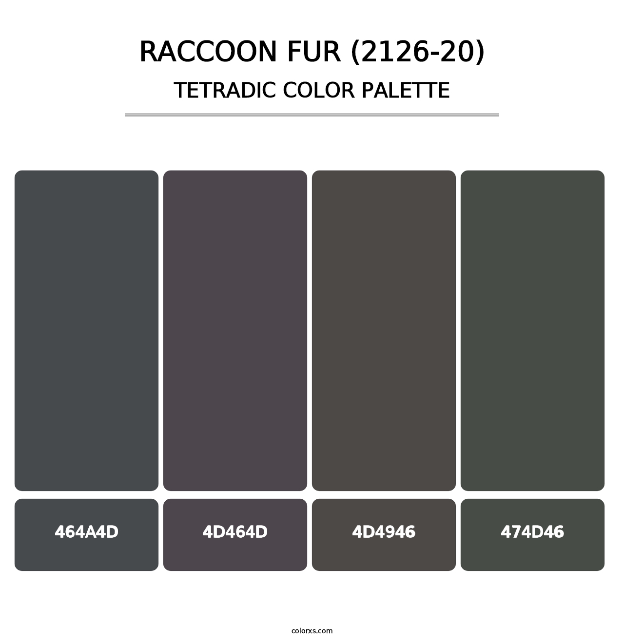 Raccoon Fur (2126-20) - Tetradic Color Palette