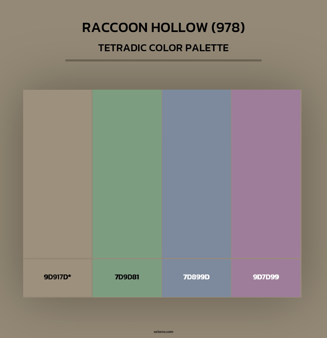 Raccoon Hollow (978) - Tetradic Color Palette