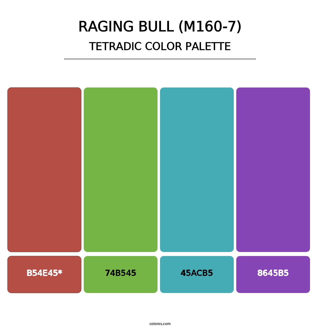 Raging Bull (M160-7) - Tetradic Color Palette
