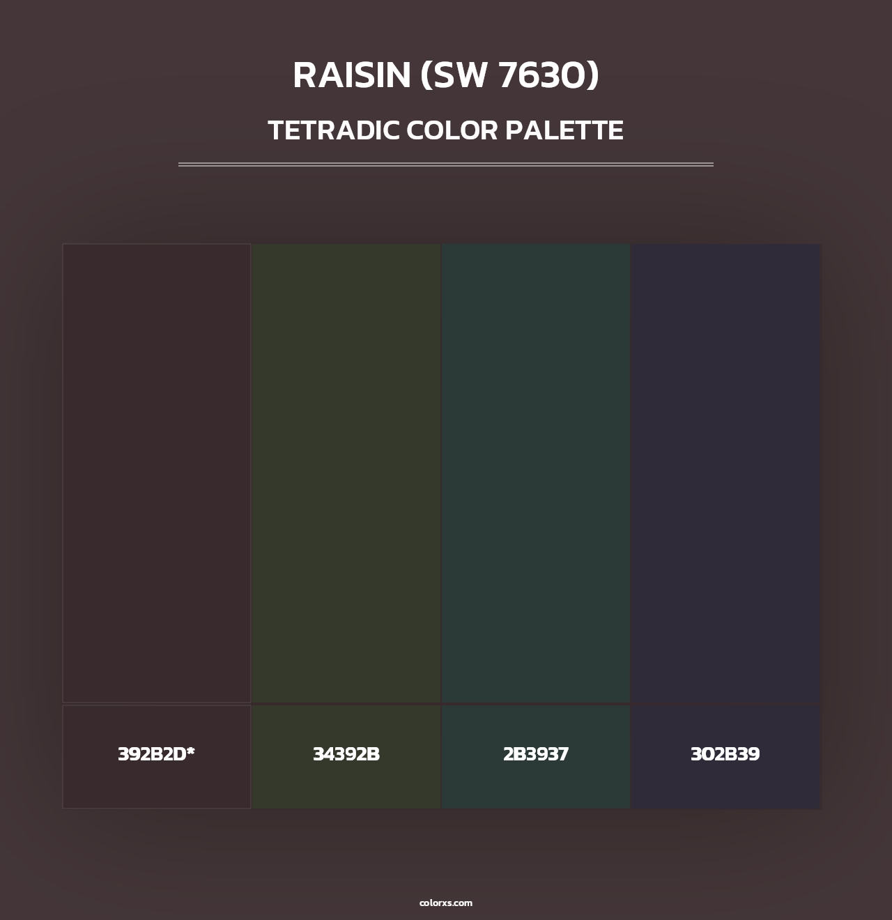 Raisin (SW 7630) - Tetradic Color Palette