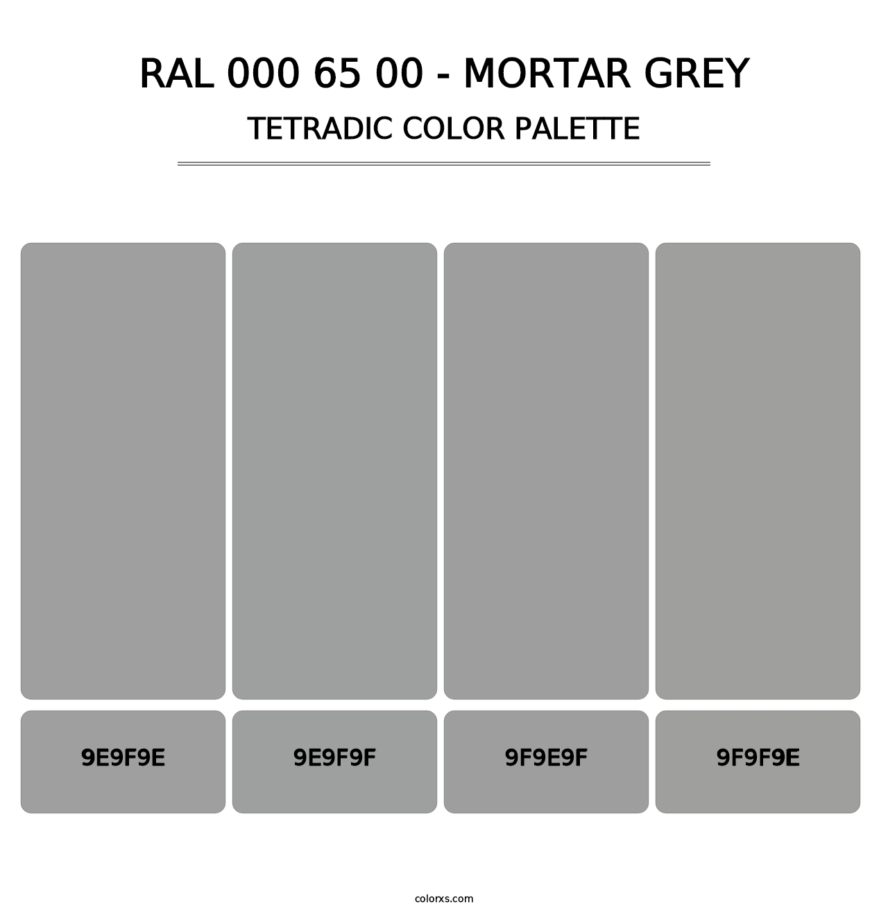 RAL 000 65 00 - Mortar Grey - Tetradic Color Palette