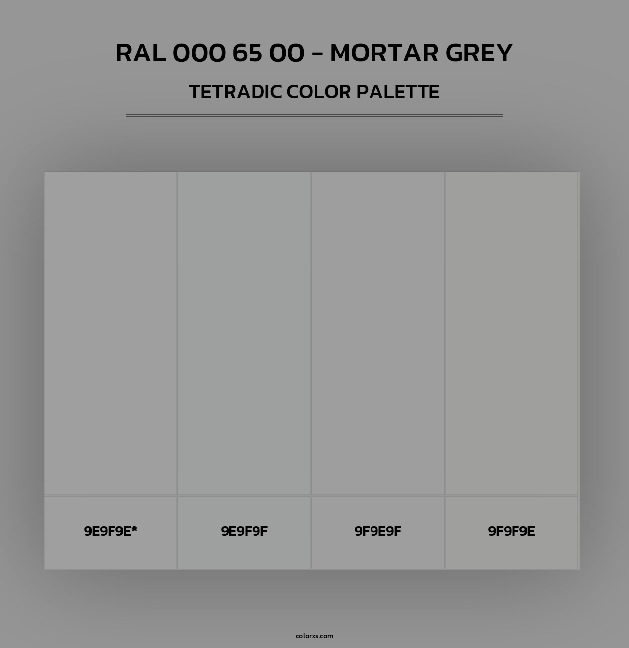 RAL 000 65 00 - Mortar Grey - Tetradic Color Palette