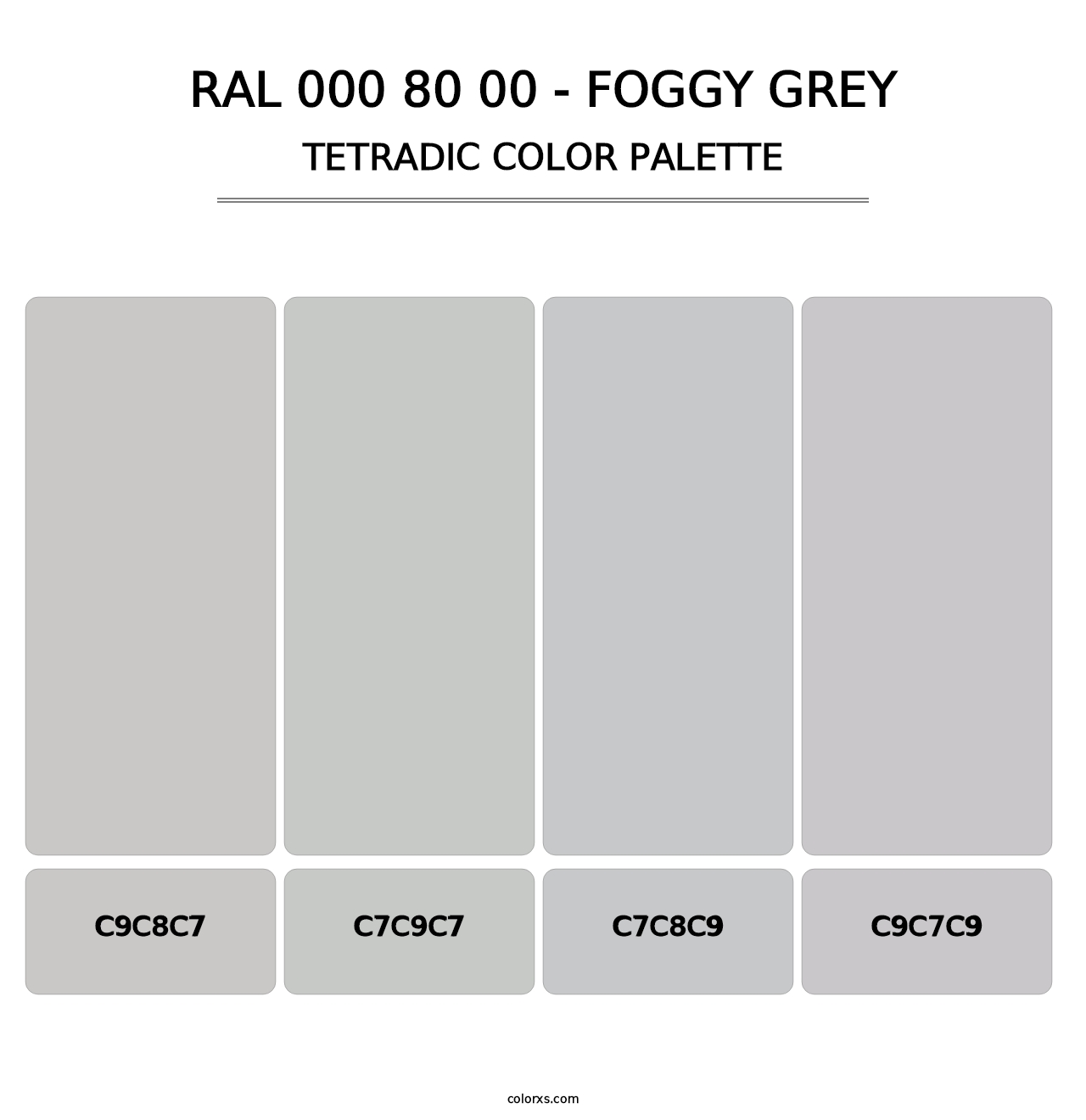 RAL 000 80 00 - Foggy Grey - Tetradic Color Palette