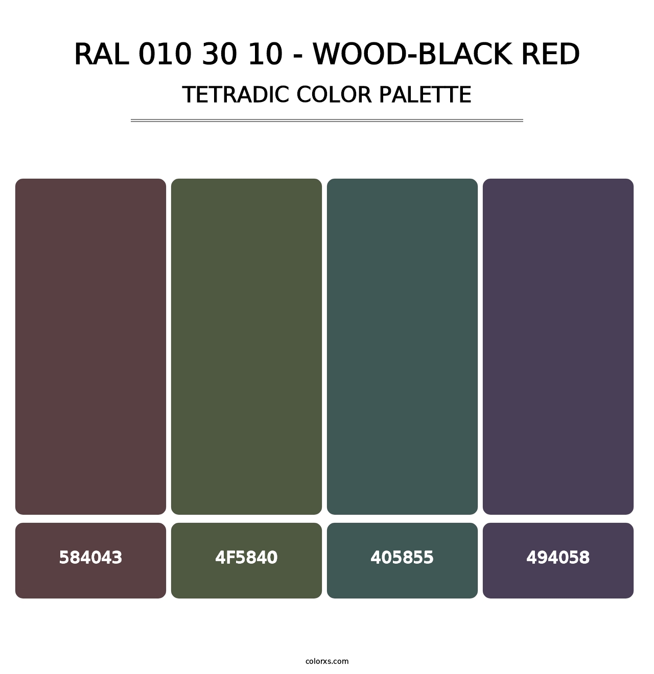 RAL 010 30 10 - Wood-Black Red - Tetradic Color Palette