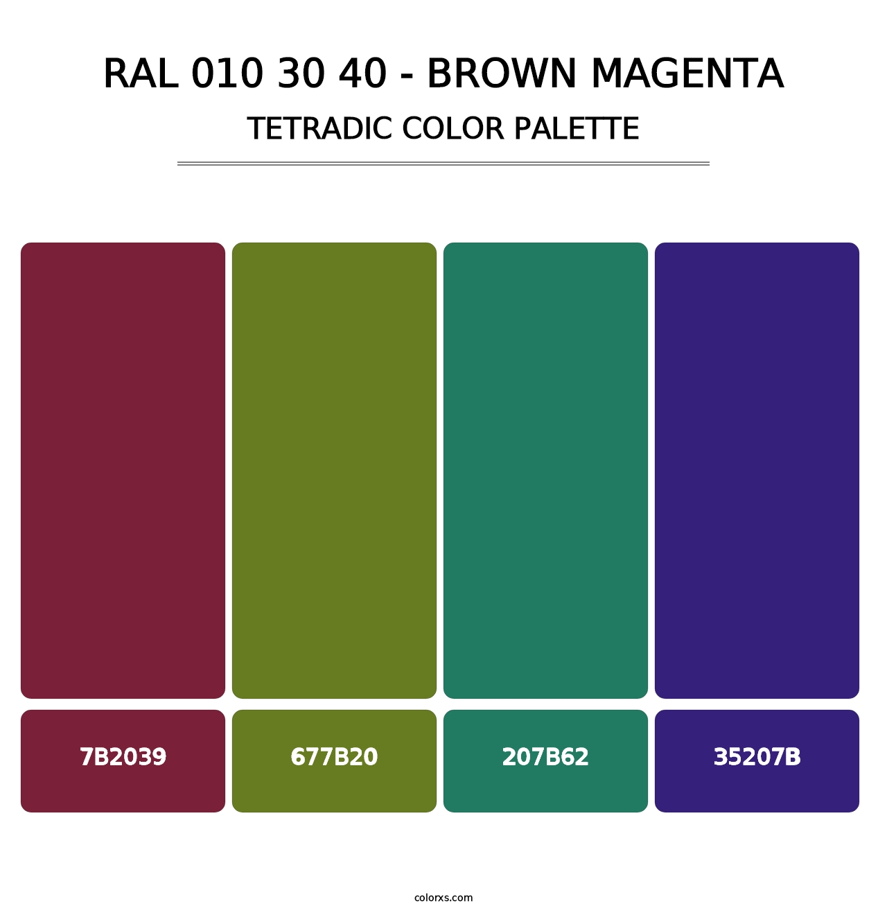 RAL 010 30 40 - Brown Magenta - Tetradic Color Palette