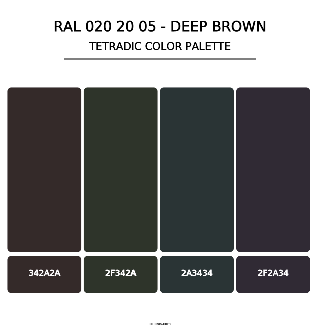 RAL 020 20 05 - Deep Brown - Tetradic Color Palette