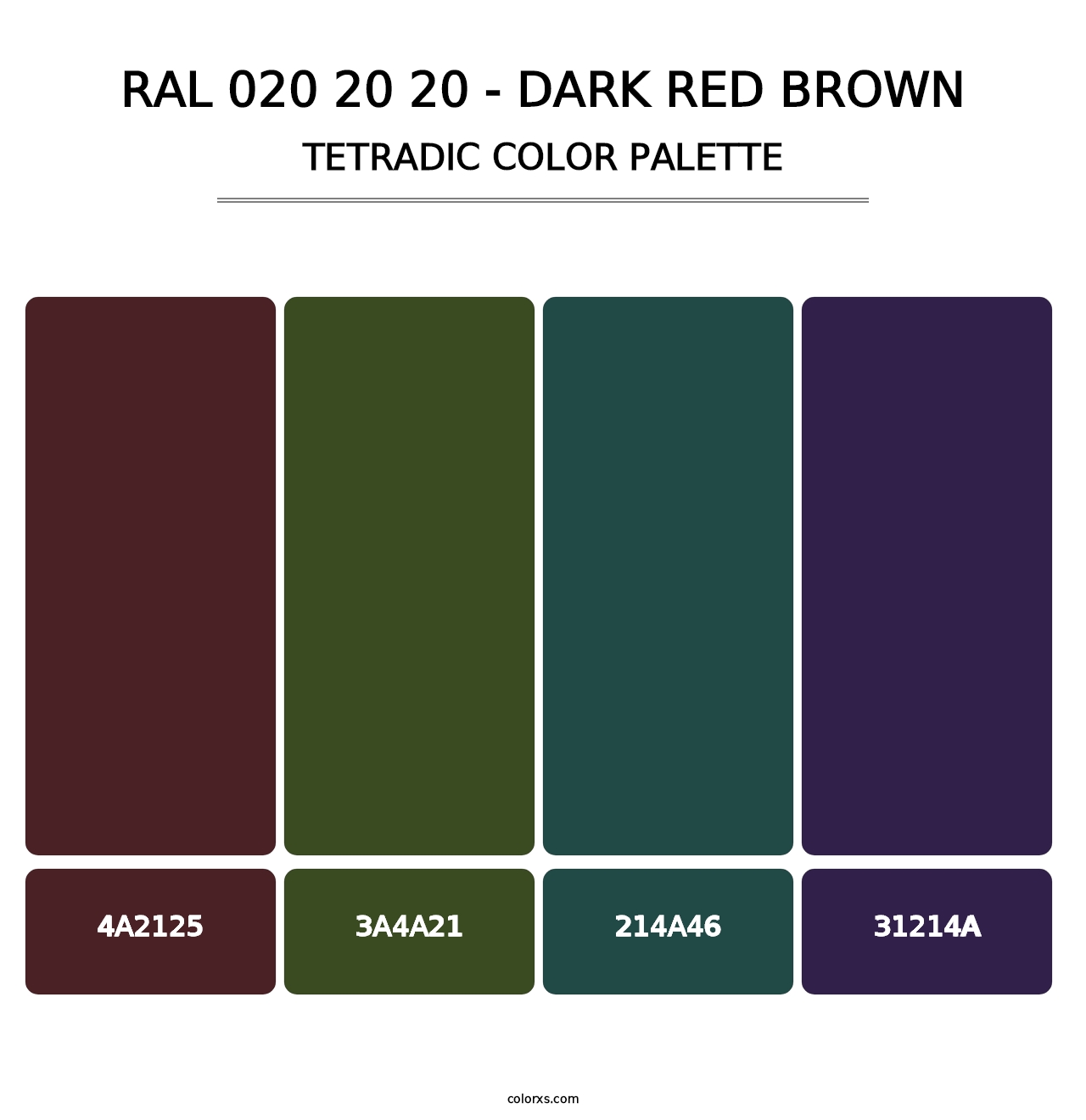 RAL 020 20 20 - Dark Red Brown - Tetradic Color Palette