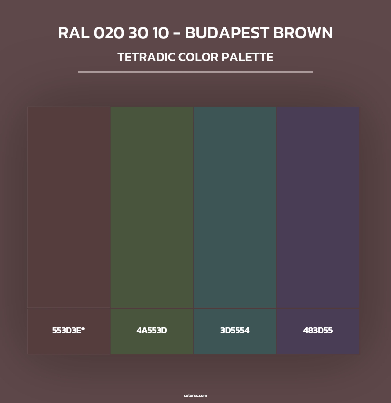 RAL 020 30 10 - Budapest Brown - Tetradic Color Palette