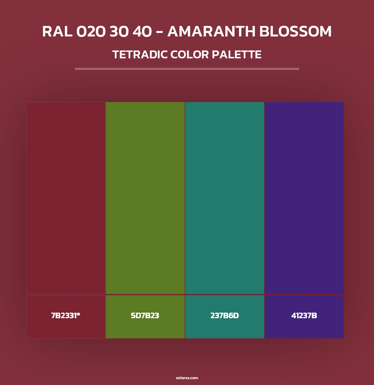 RAL 020 30 40 - Amaranth Blossom - Tetradic Color Palette