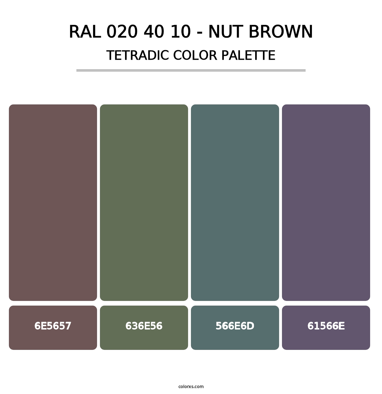 RAL 020 40 10 - Nut Brown - Tetradic Color Palette