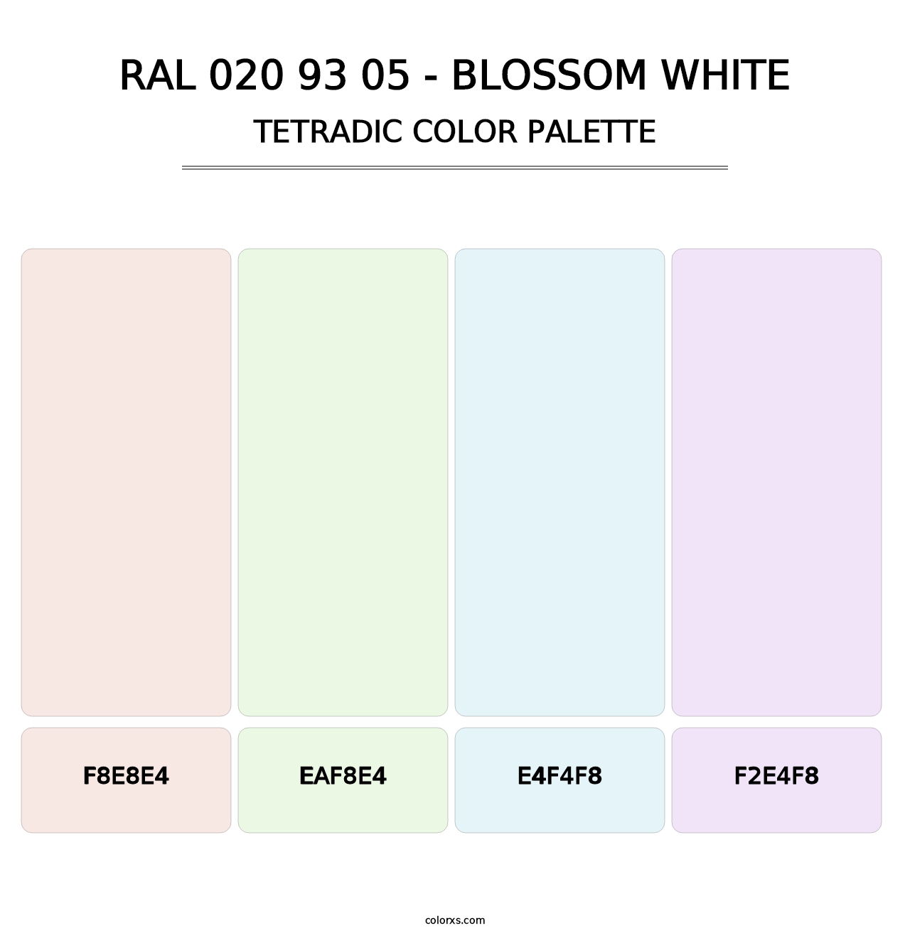 RAL 020 93 05 - Blossom White - Tetradic Color Palette