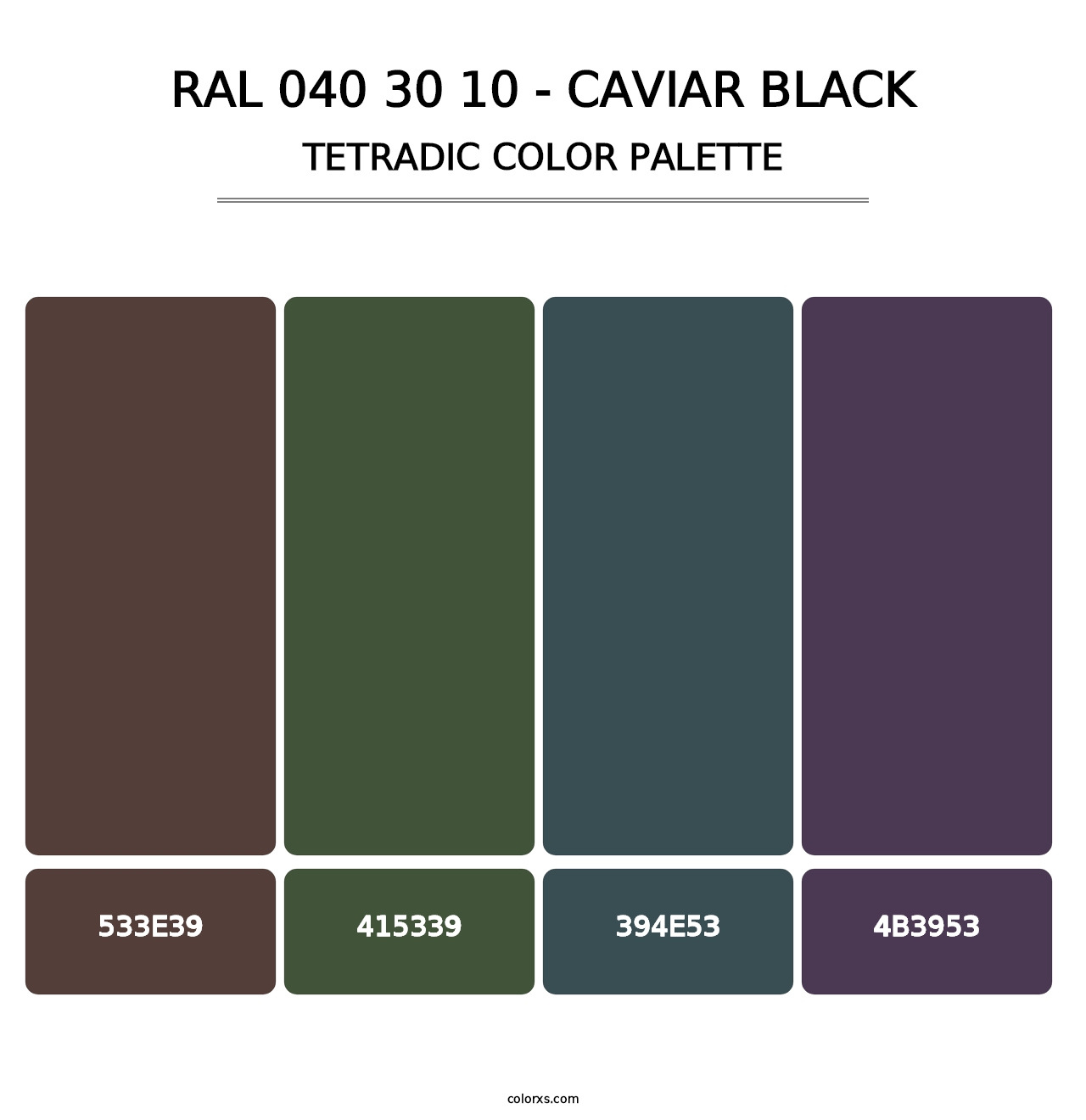 RAL 040 30 10 - Caviar Black - Tetradic Color Palette