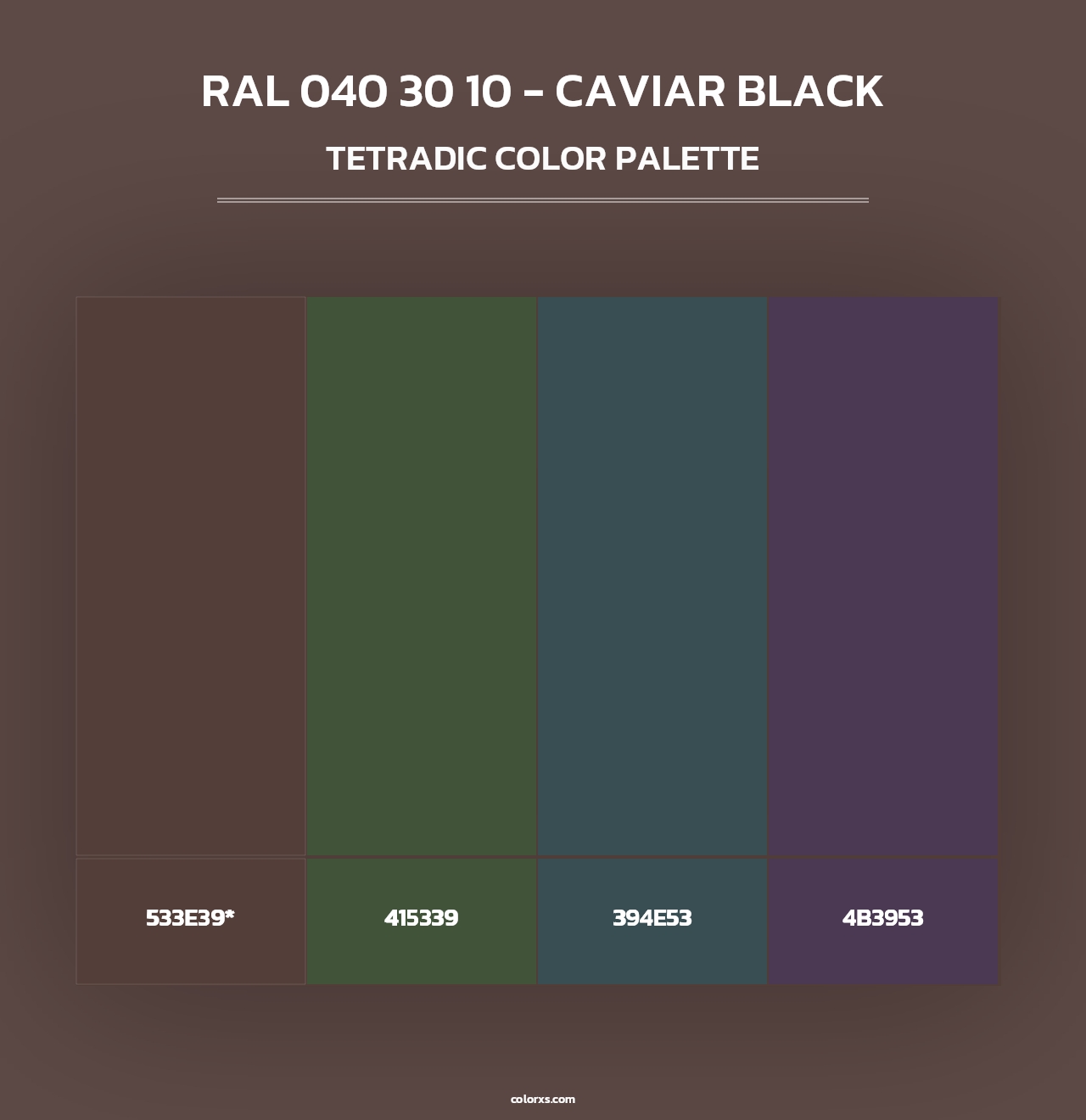 RAL 040 30 10 - Caviar Black - Tetradic Color Palette