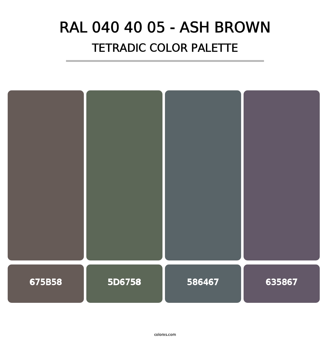 RAL 040 40 05 - Ash Brown - Tetradic Color Palette