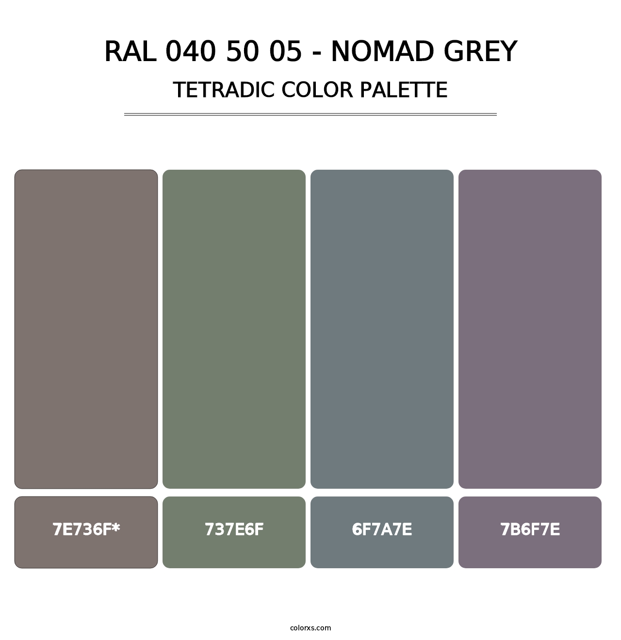 RAL 040 50 05 - Nomad Grey - Tetradic Color Palette