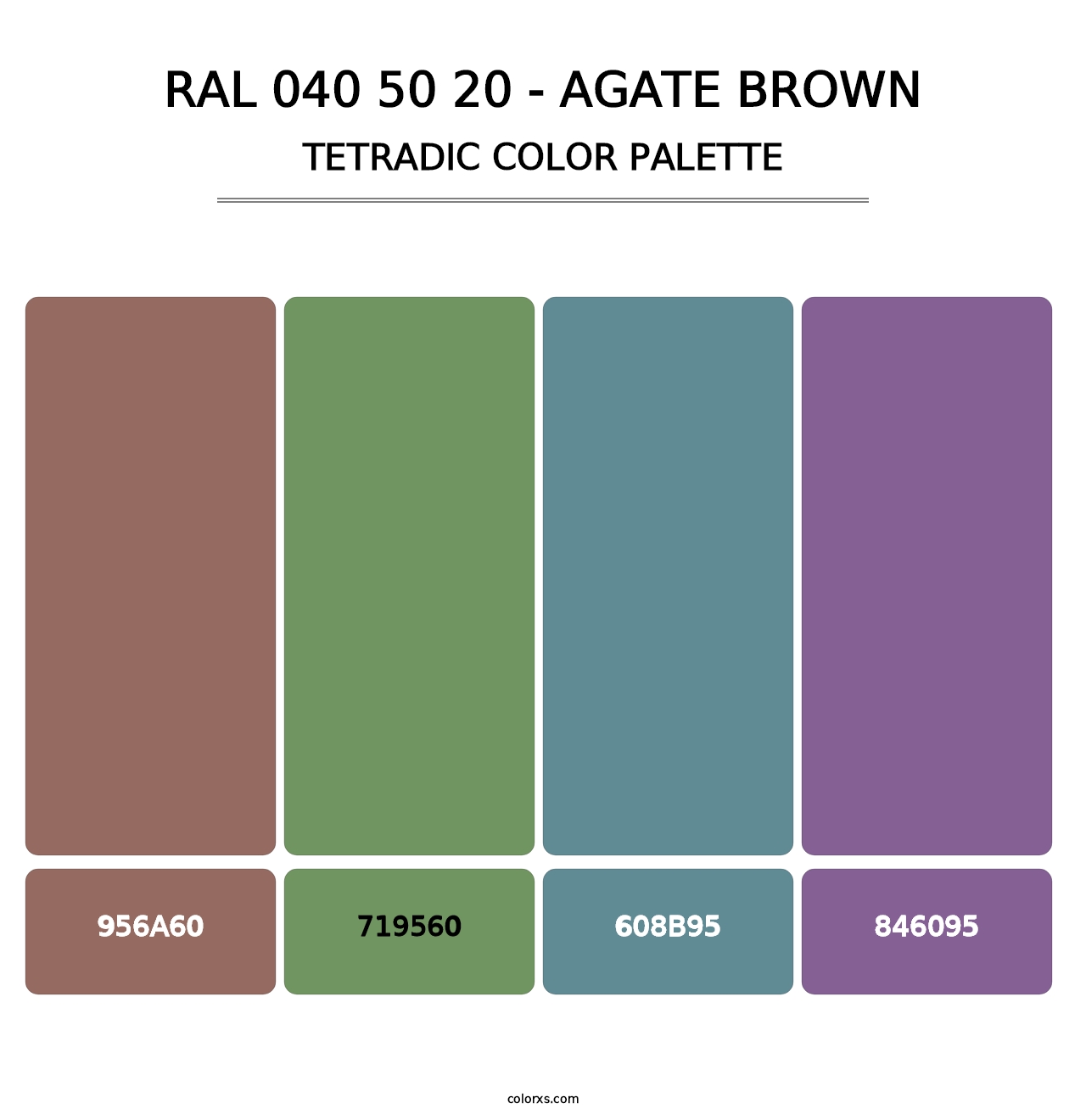 RAL 040 50 20 - Agate Brown - Tetradic Color Palette