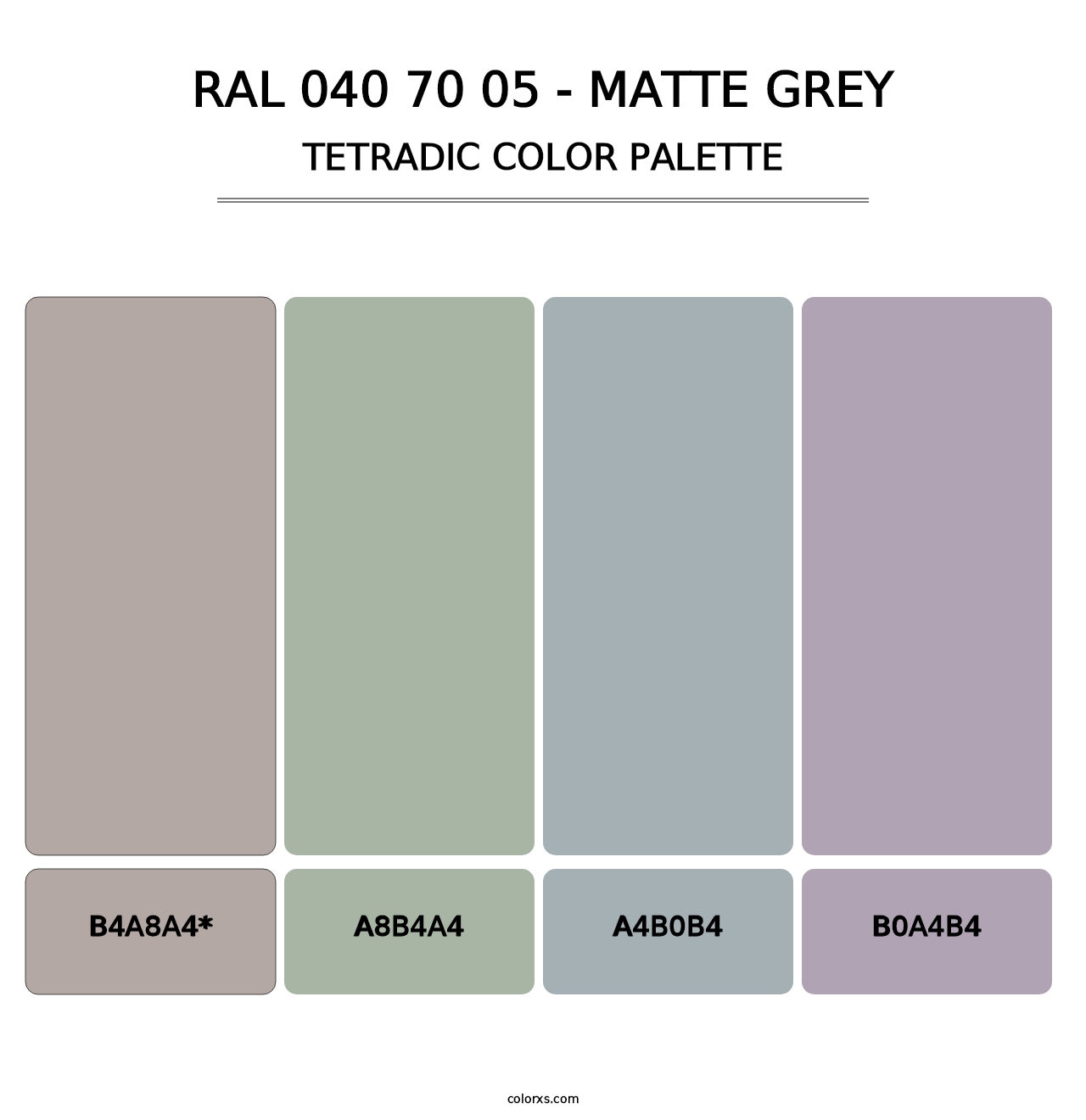 RAL 040 70 05 - Matte Grey - Tetradic Color Palette