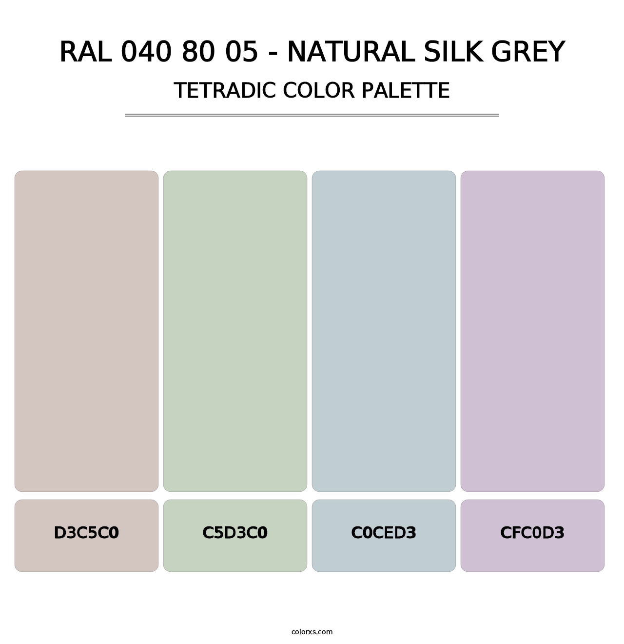 RAL 040 80 05 - Natural Silk Grey - Tetradic Color Palette